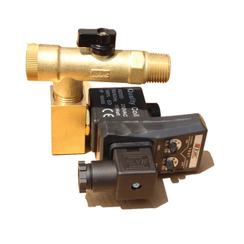 Automatic drain valve