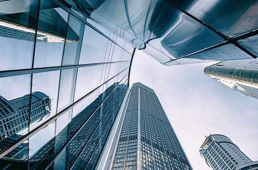 Corporate Vision